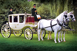 A professional rider on a horse